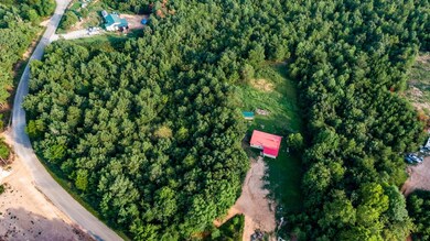 191 New Era Ridge Rd, Linden, TN 37096 - photo 3