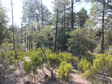 Tall Pines on Lot