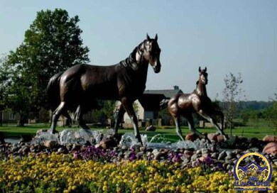 1133 SW New Forest Dr, Topeka, KS 66604 - photo 2