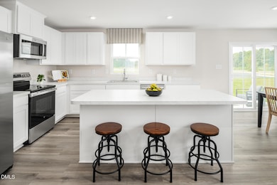 291 Gianna Dr, Angier, NC 27501 - photo 4