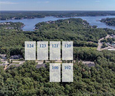 Lot 109 Terry Rd, Lake Ozark, MO 65049 - photo 6