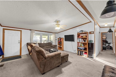 6012 Isaac Way, Cedar Hill, MO 63016 - photo 5