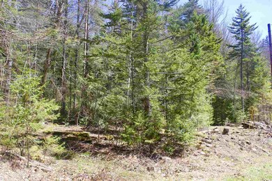 0 Schmidt Rd, Andover, VT 05143 - photo 4