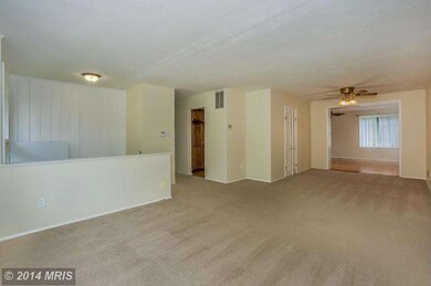 3702 Emily St, Kensington, MD 20895 - photo 3