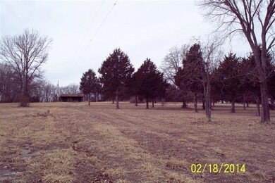Primary Photo