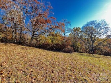 Lot 117 Autumn Sky Dr, Hendersonville, NC 28792 - photo 4