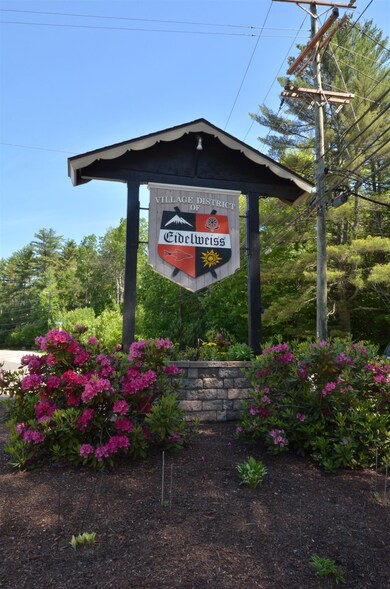 3 Oak Ridge Rd unit 86/B21, Madison, NH 03849 - photo 2