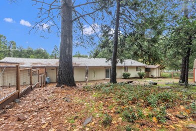 23568 Robin Rd, Pioneer, CA 95666 - photo 7