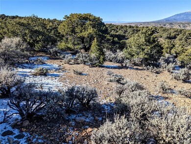 Lot 3840 Murray Rd, Fort Garland, CO 81133 - photo 3