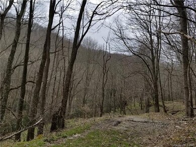 10 Acres Lickskillet Rd unit 5 & 9, Cane River, NC 28714 - photo 5