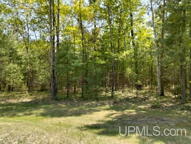 10451 Breezy R 22 Ln, Rapid River, MI 49878 - photo 3