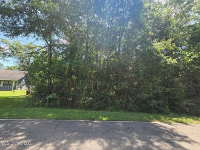 116 E Sunnybrook Rd, Carriere, MS 39426 - photo 6