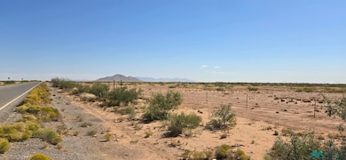 000 Hwy 418 SW, Deming, NM 88030 - photo 5