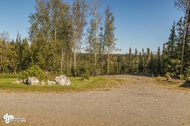 Driveway_DMD_1859-SMALL