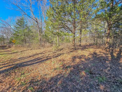 000 County Road 292a, Pittsburg, MO 65724 - photo 7