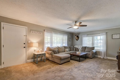 951 Evans Mill Rd, Pageland, SC 29728 - photo 5