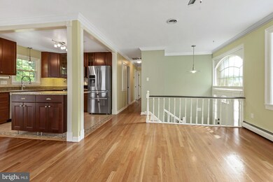 6708 Moly Dr, Falls Church, VA 22046 - photo 5