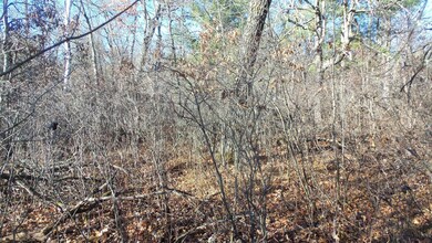 Lot 2 Ferry Rd, Grantsburg Township, WI 54840 - photo 7