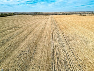 Land(3of15).jpg