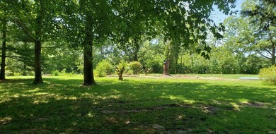 700 Shady Ln, Freeburg, IL 62243 - photo 2