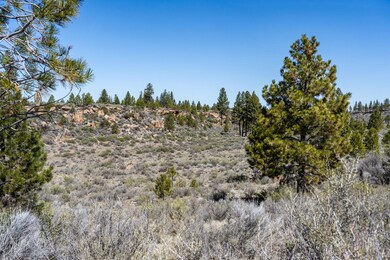 19309 Buck Canyon Rd, Bend, OR 97702 - photo 4