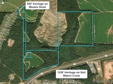 72.75 ac. Boll Weevil Cir, Enterprise, AL 36330 - photo 2