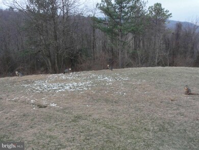 410 Tumbling Run Ln, Strasburg, VA 22657 - photo 7