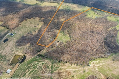 Aerial view of the property (home is near the bott