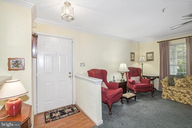 5017 Triplett Rd, Owings Mills, MD 21117 - photo 3