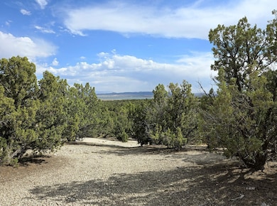 816 Hamilton Stage Rd, Elko, NV 89801 - photo 4