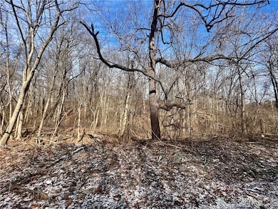 0 W Laurel Ave, New Castle, PA 16101 - photo 2