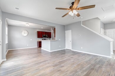 165 Daniels Creek Drive -Tidalcreekphoto