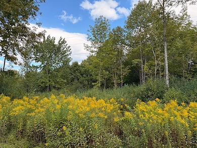 L 7 Thayer Rd & St Hwy 80, Hartwick, NY 13348 - photo 4