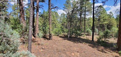 2250 S Trillium Ln, Show Low, AZ 85901 - photo 5