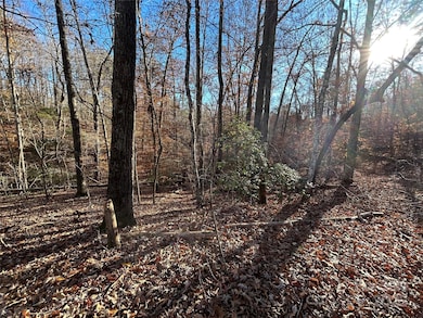 0 Polk County Line Rd unit CAR4322658, Rutherfordton, NC 28139 - photo 6