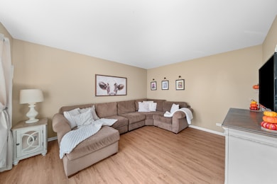 531 Alyssa St, Plano, IL 60545 - photo 6