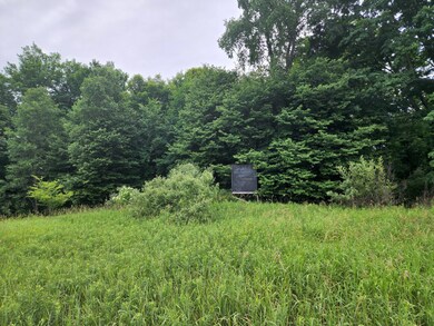 01 1 Mile Rd, Reed City, MI 49677 - photo 3