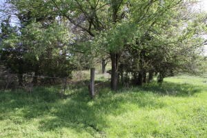 7.38 ac Bunker Rd, Harrison, AR 72601 - photo 2