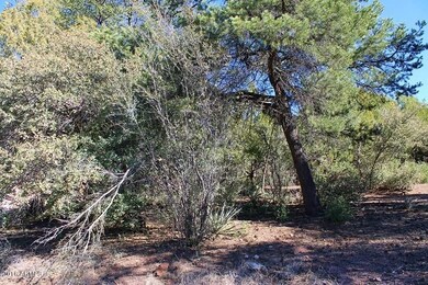Land for Sale 3