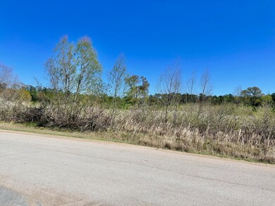 0 Circle Lake Dr, Pinehurst, TX 77362 - photo 7