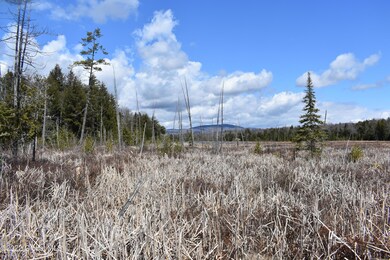 00 Hardscrabble Rd, Chester, NY 10918 - photo 6