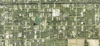 5958 Nutwood Ave, Bunnell, FL 32110 - photo 2