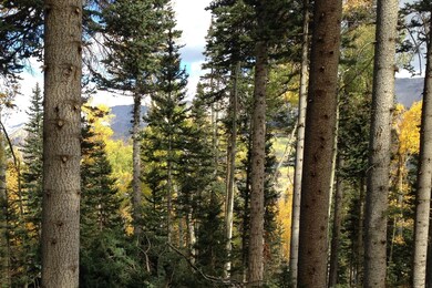 More trees