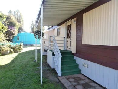 PA050006