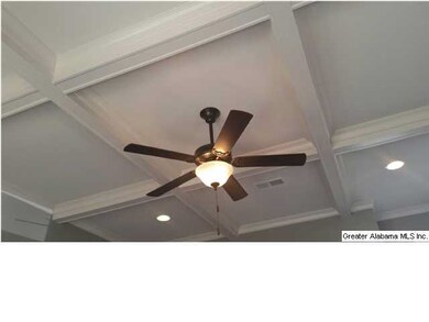 GORGEOUS LIVING ROOM CEILING