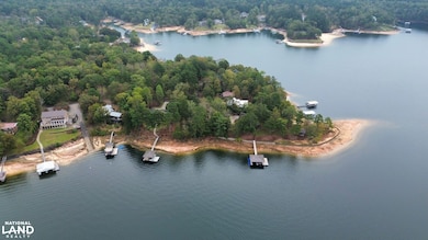 540 County Rd 181, Crane Hill, AL 35053 - photo 5