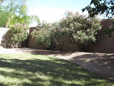 BACK YARD
