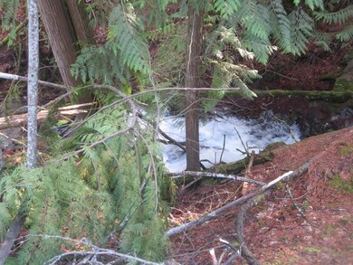 creek