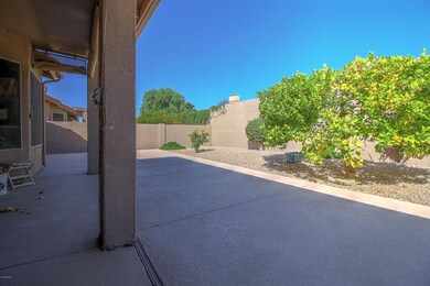 IMG_9874_5_6_7_8
