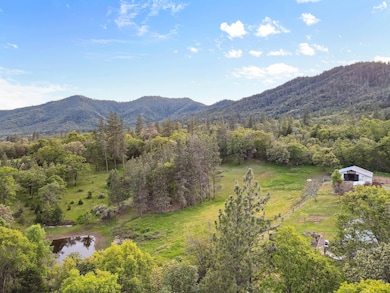 10115 Ramsey Rd, Gold Hill, OR 97525 - photo 5